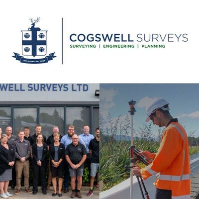 Cogswell Surveys Ltd