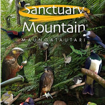 Maungatautari Ecological Island Trust