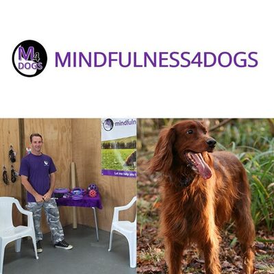 Mindfulness4dogs