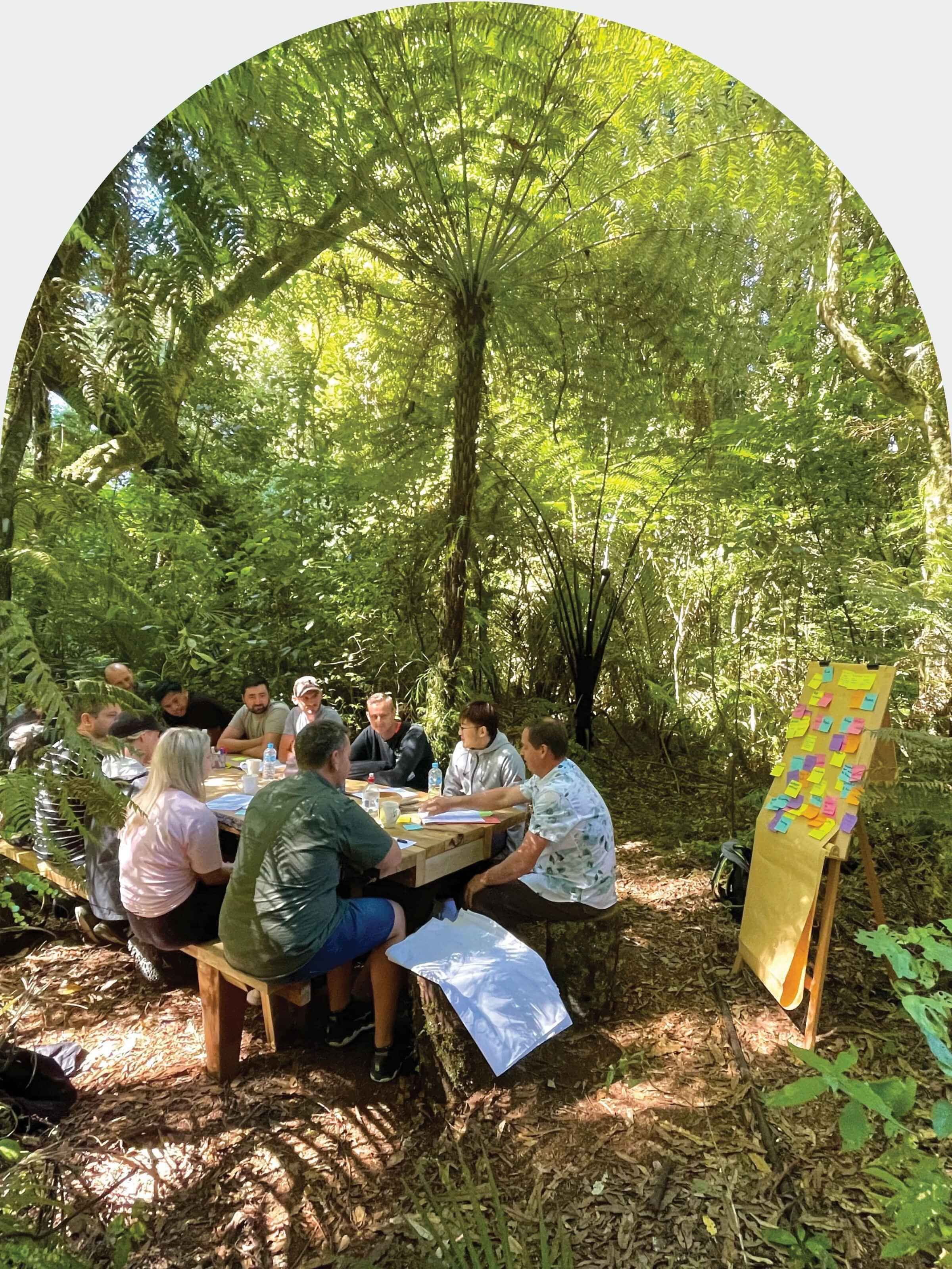 Find out more about Sanctuary Mountain Maungatautari in Love Cambridge