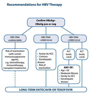 glutathione and hepatitis b Treatment of Hepatitis B