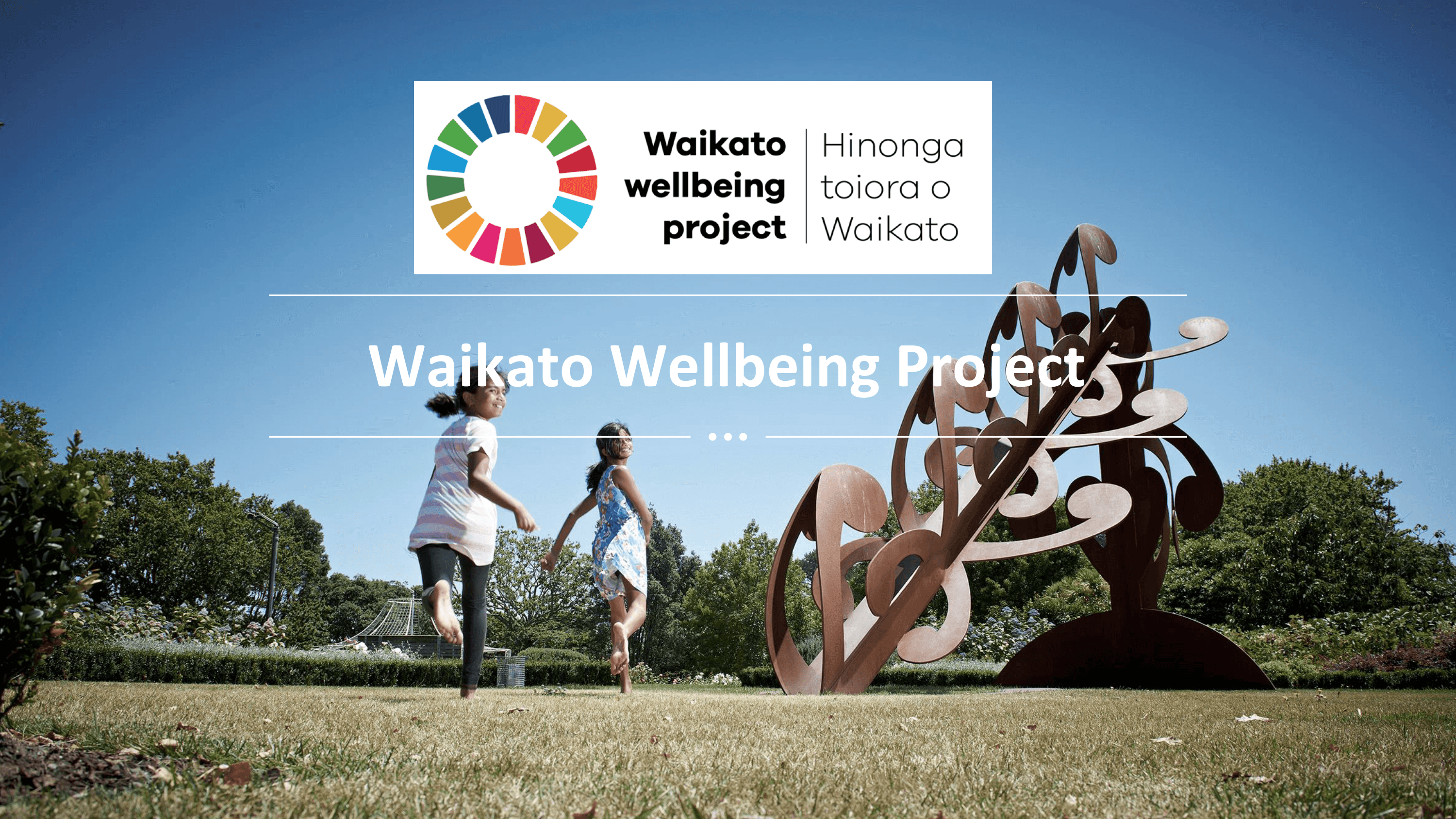 Elected Members Event - Waikato Wellbeing Project