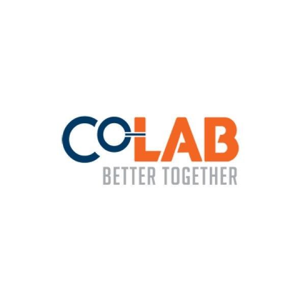 Co-Lab is a knowledge partner of Te Ara Poutama