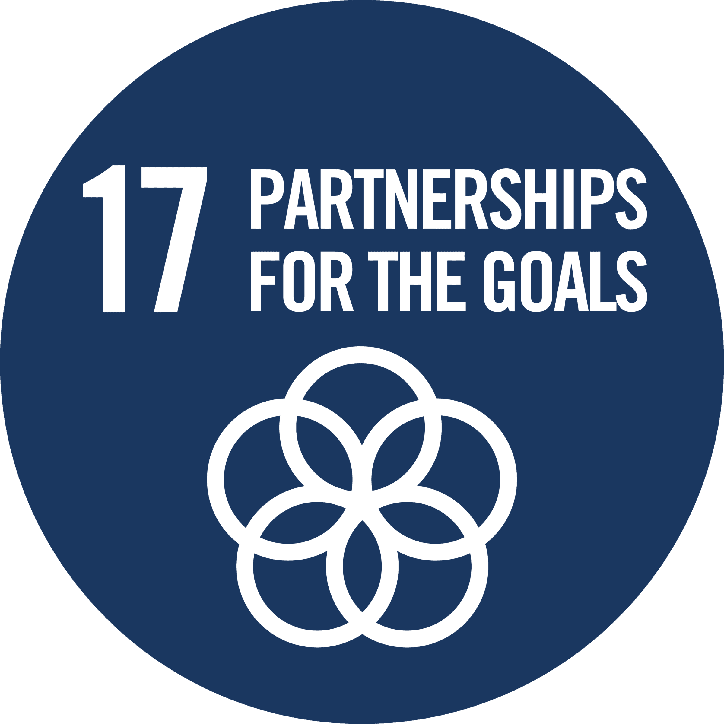 View Waikato regions summary of the regions progress against Sustainable Development Goal 17