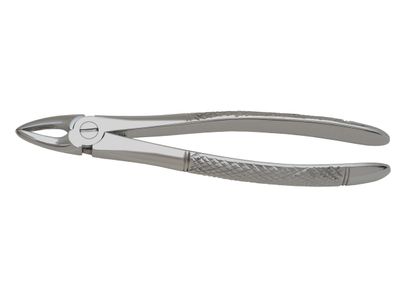 Extraction Forceps #29,  Upper Roots and Incisors,  English Pattern
