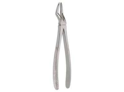 Extraction Forceps #51, Upper Roots, English Pattern