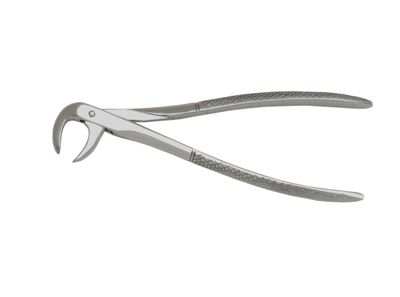 Extraction Forceps #99, Lower Molars, Broken Down,  English Pattern