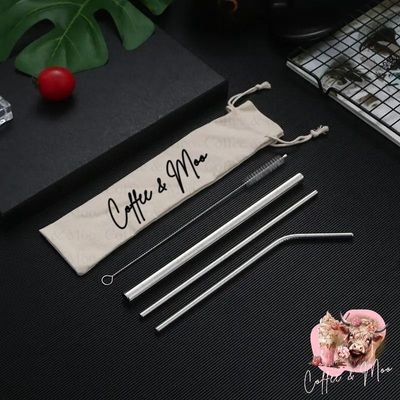 Silver Stainless Steel Straw Set