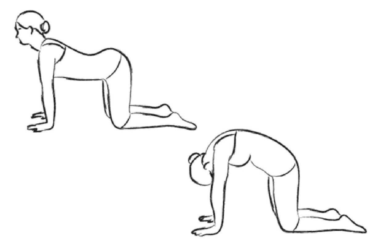 Lower Back - Cat Cow Stretch