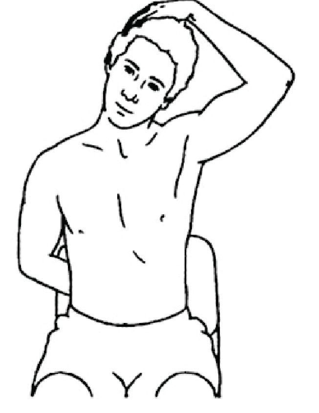 The Neck - Side Bend