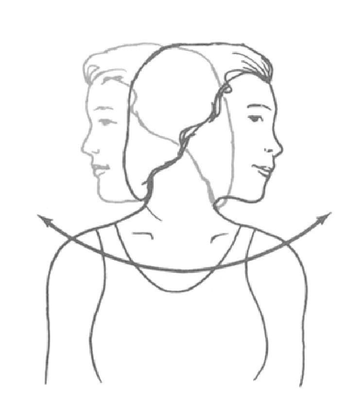 The Neck - Head Rotation