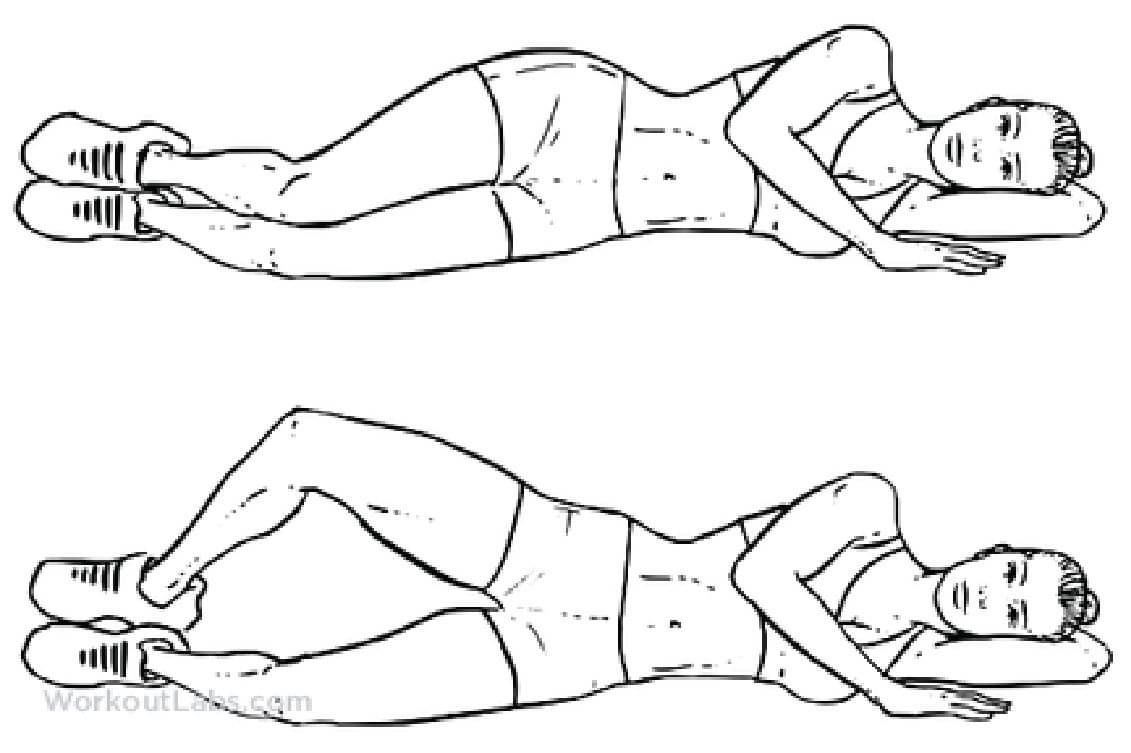 The Hip - Clamshells