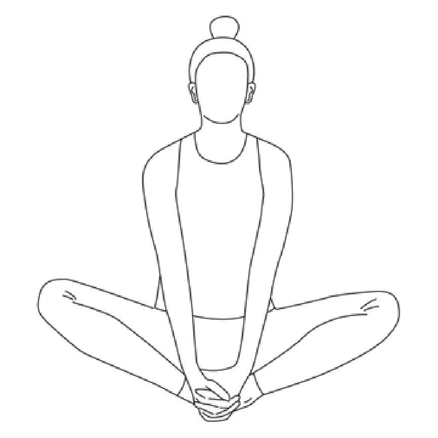 The Hip - Butterfly Stretch