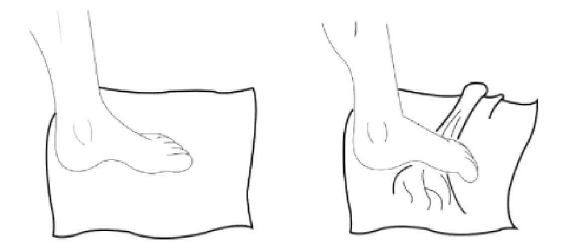 Ankle & Foot - Towel scrunches