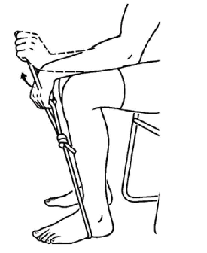 Lower Back - Lower Back Rotation
