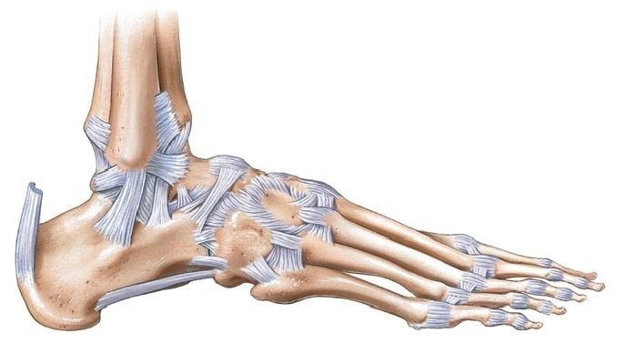 Strengthening and Stretching the Ankle