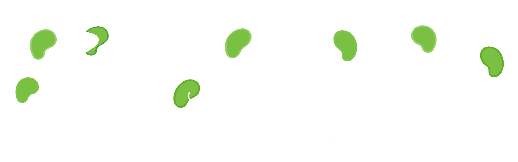 Four illustrated brains, one for each Brain Wiring.