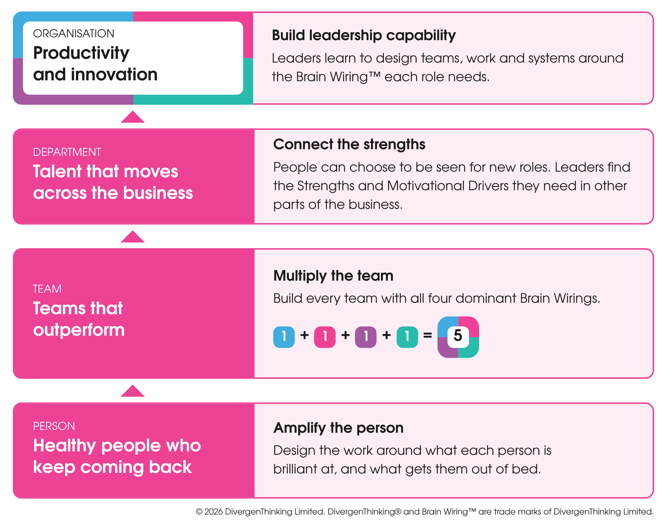 What organisations get at four levels: amplify the person, multiply the team, connect the strengths, build leadership capability.