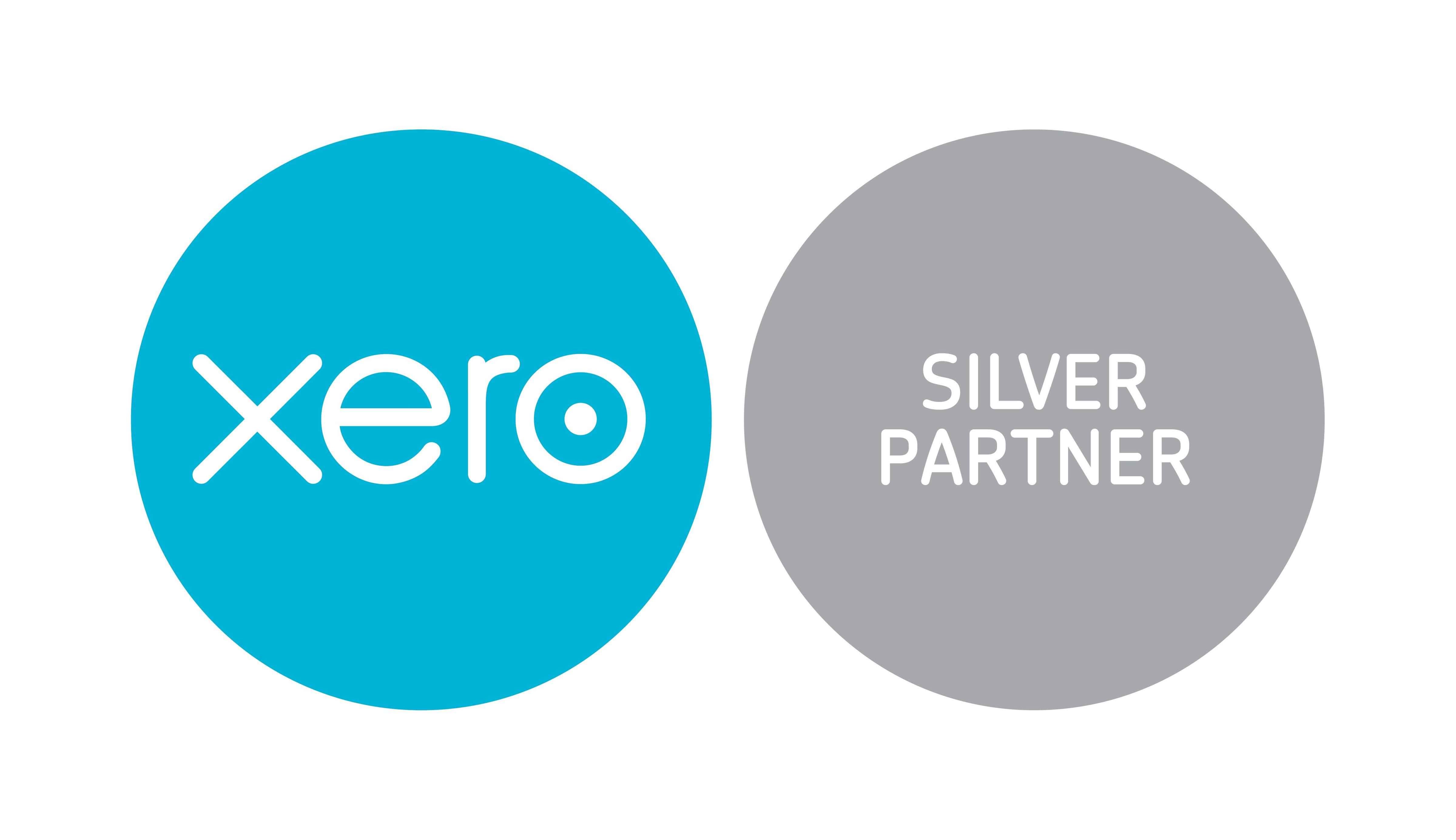Bronze Xero Partner 