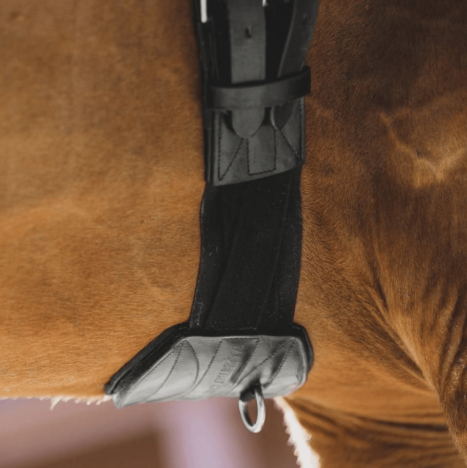 Black Tapestry girth on a brown horse, view from underneath
