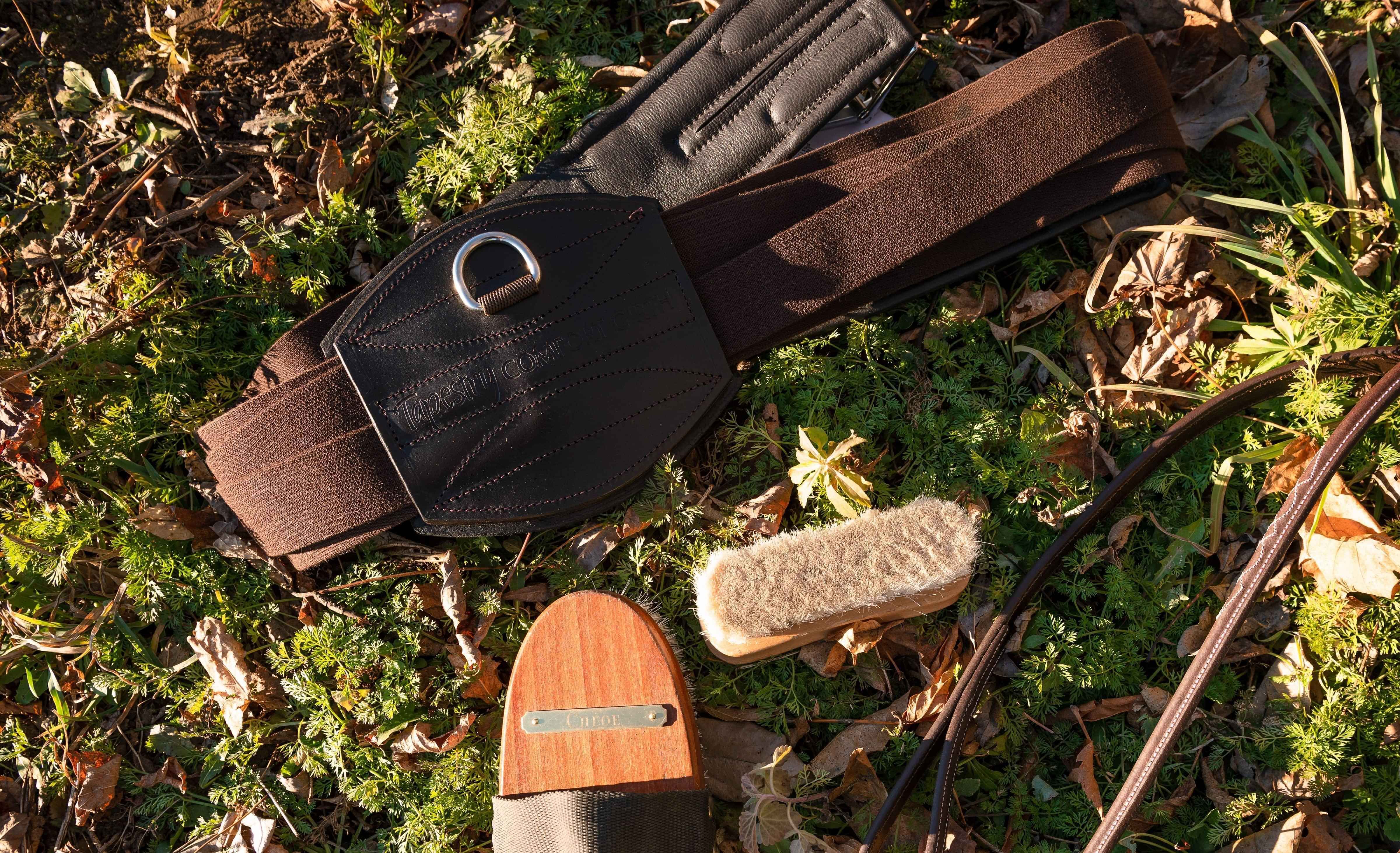 Brown Tapestry Girth on the grass