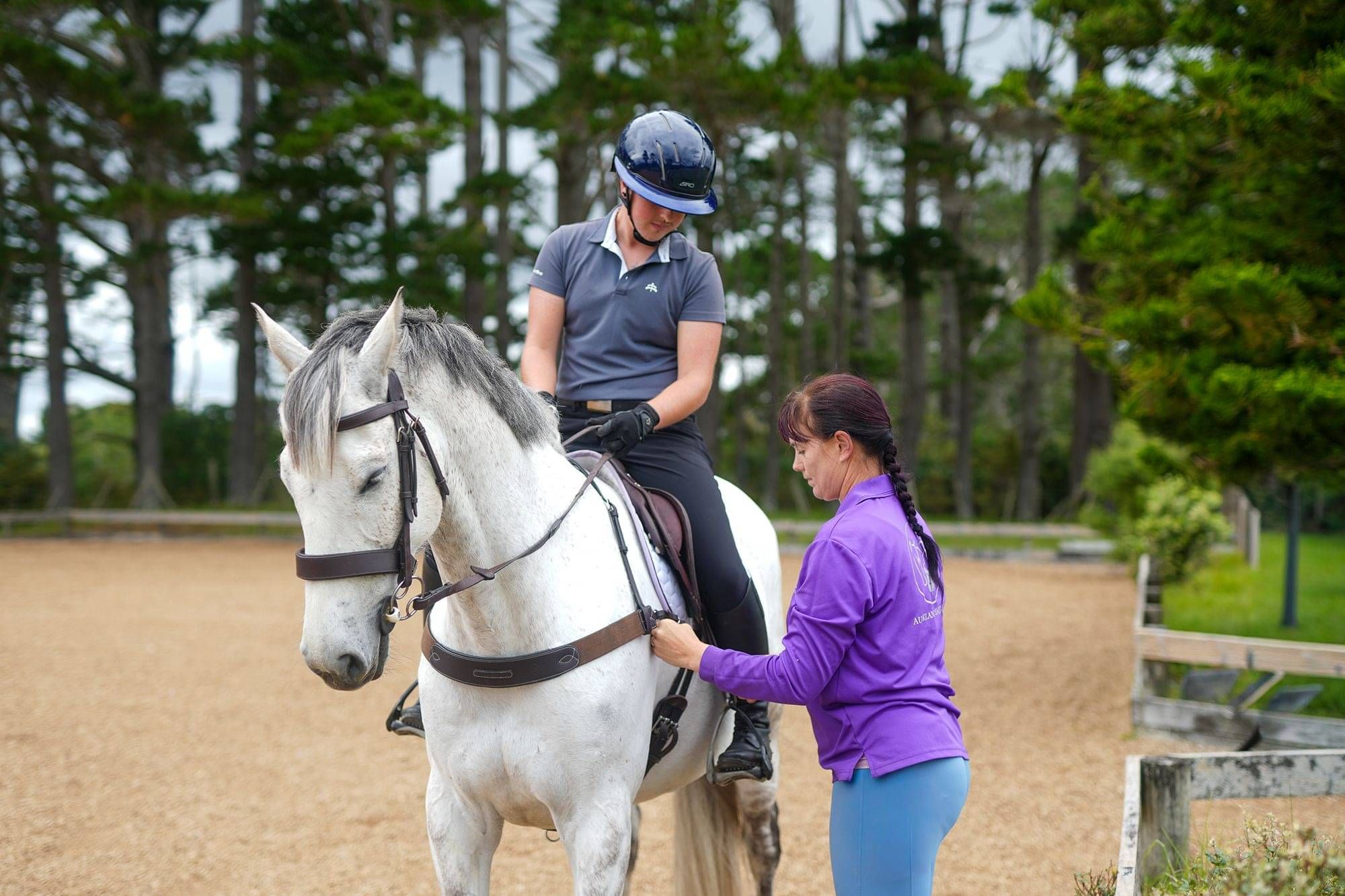 why choose prolite saddle pads?