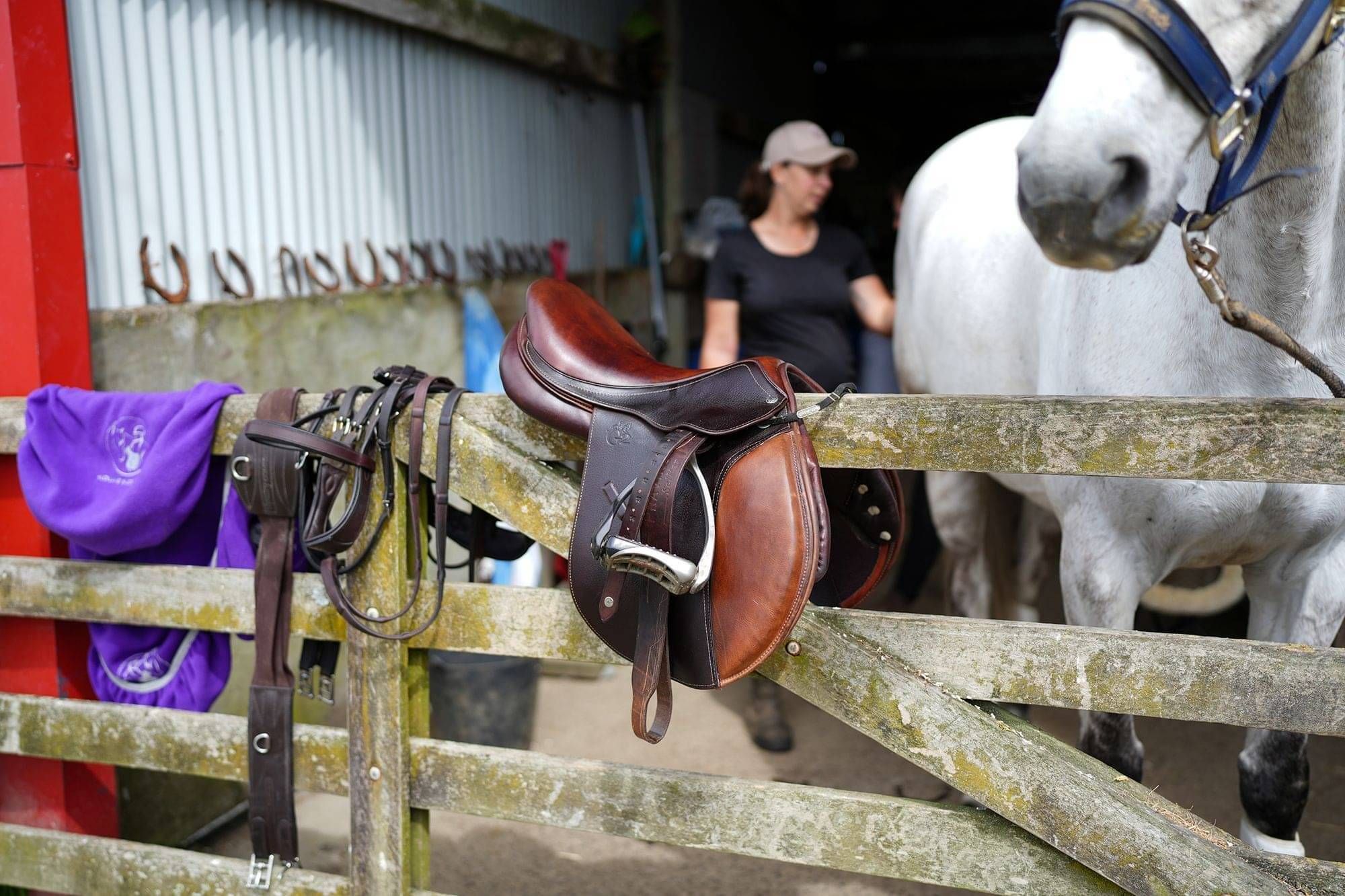 trade in your old saddle for credit towards a new saddle