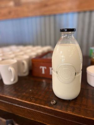 Milk Bottle