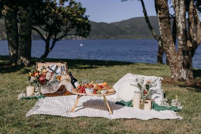 Posh Picnic Set