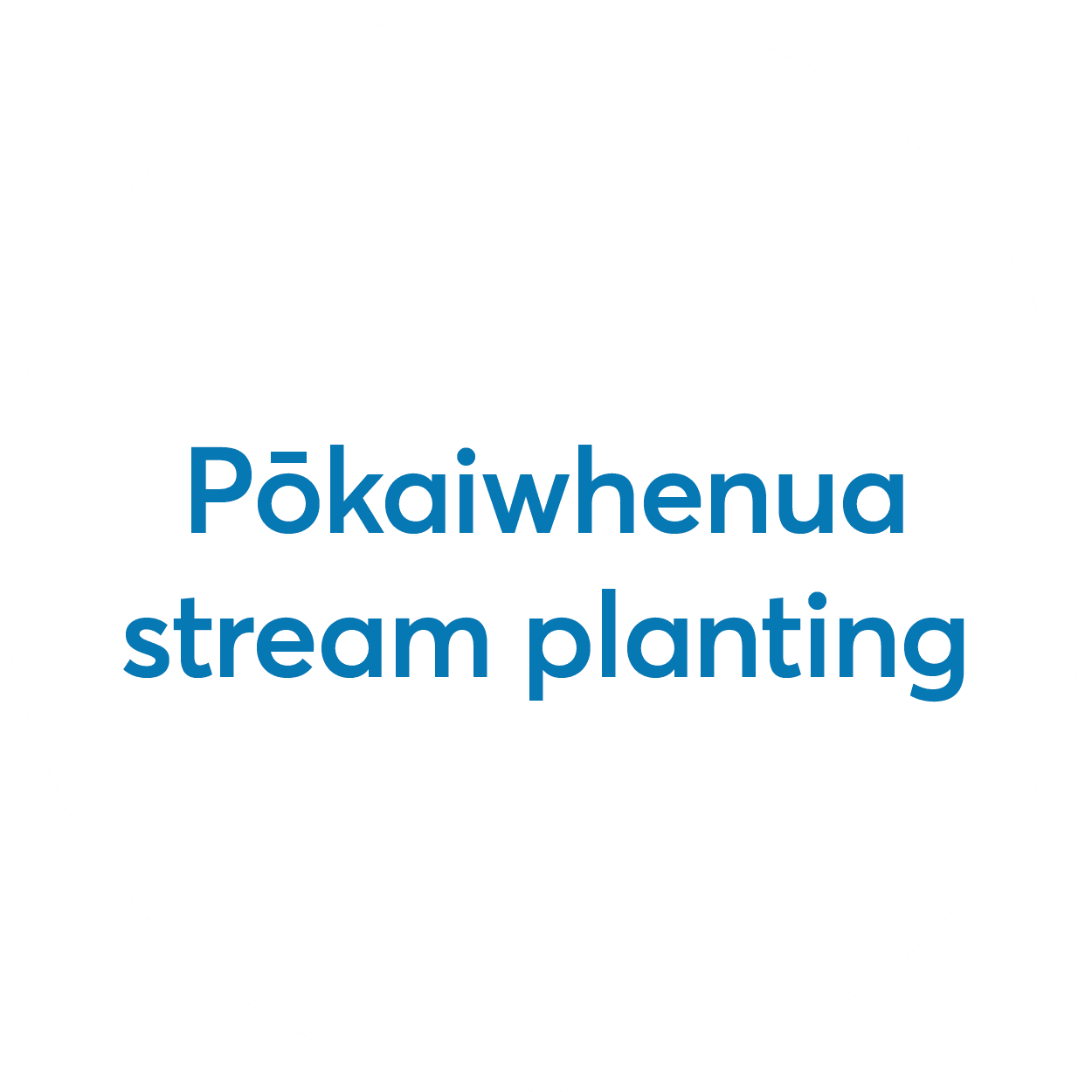 Pokaiwhenua Planting