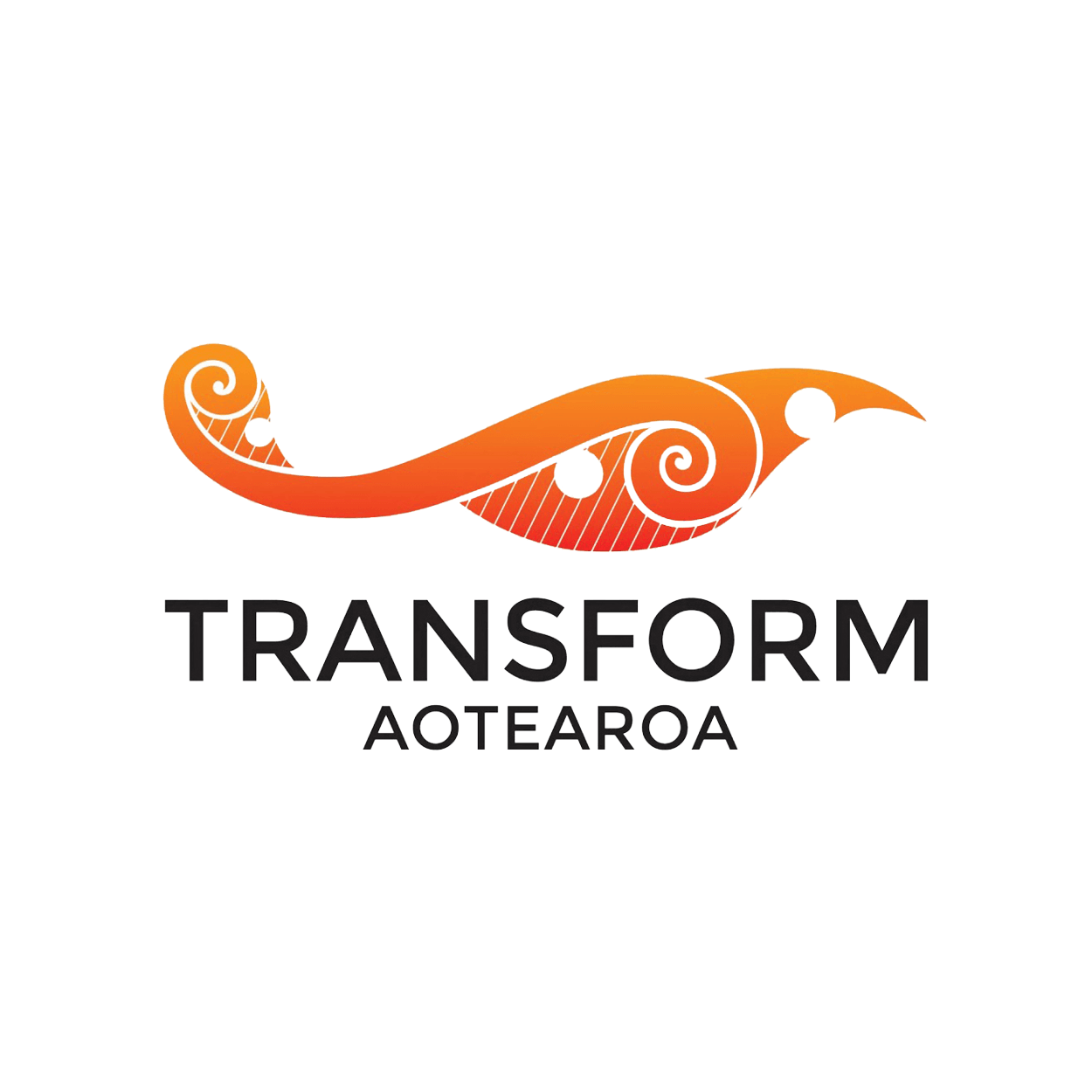 Transform Aotearoa logo