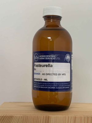 Pasteurella