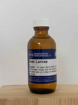 Goat larvae
