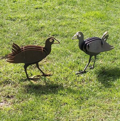 3D Pukeko