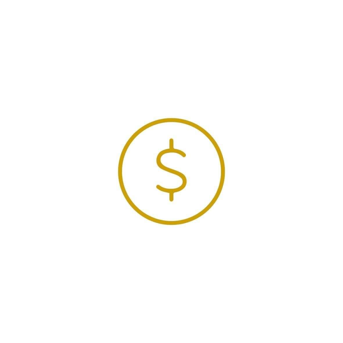 Dollar icon