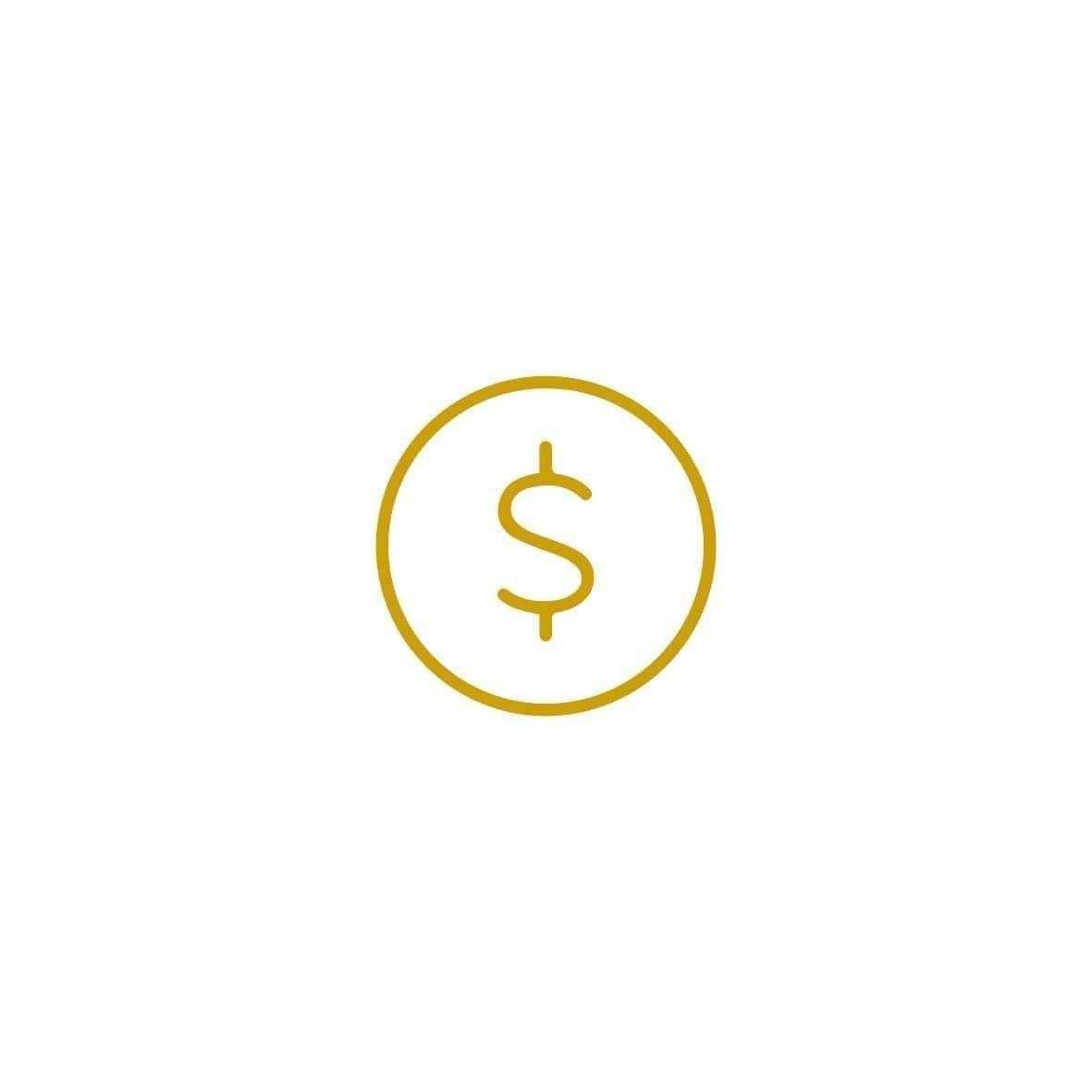 Dollar icon