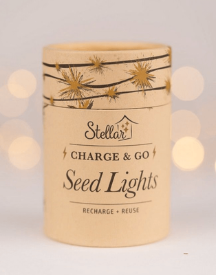 SEED LIGHTS CHARGE AND GO COPPER WIRE - 3M