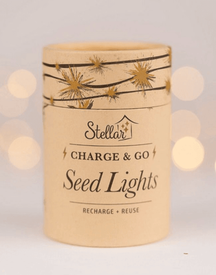 SEED LIGHTS CHARGE AND GO SILVER WIRE - 3M