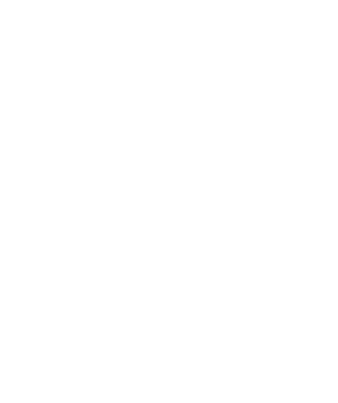 Working Solutions - Chartered Accountant New Zealand