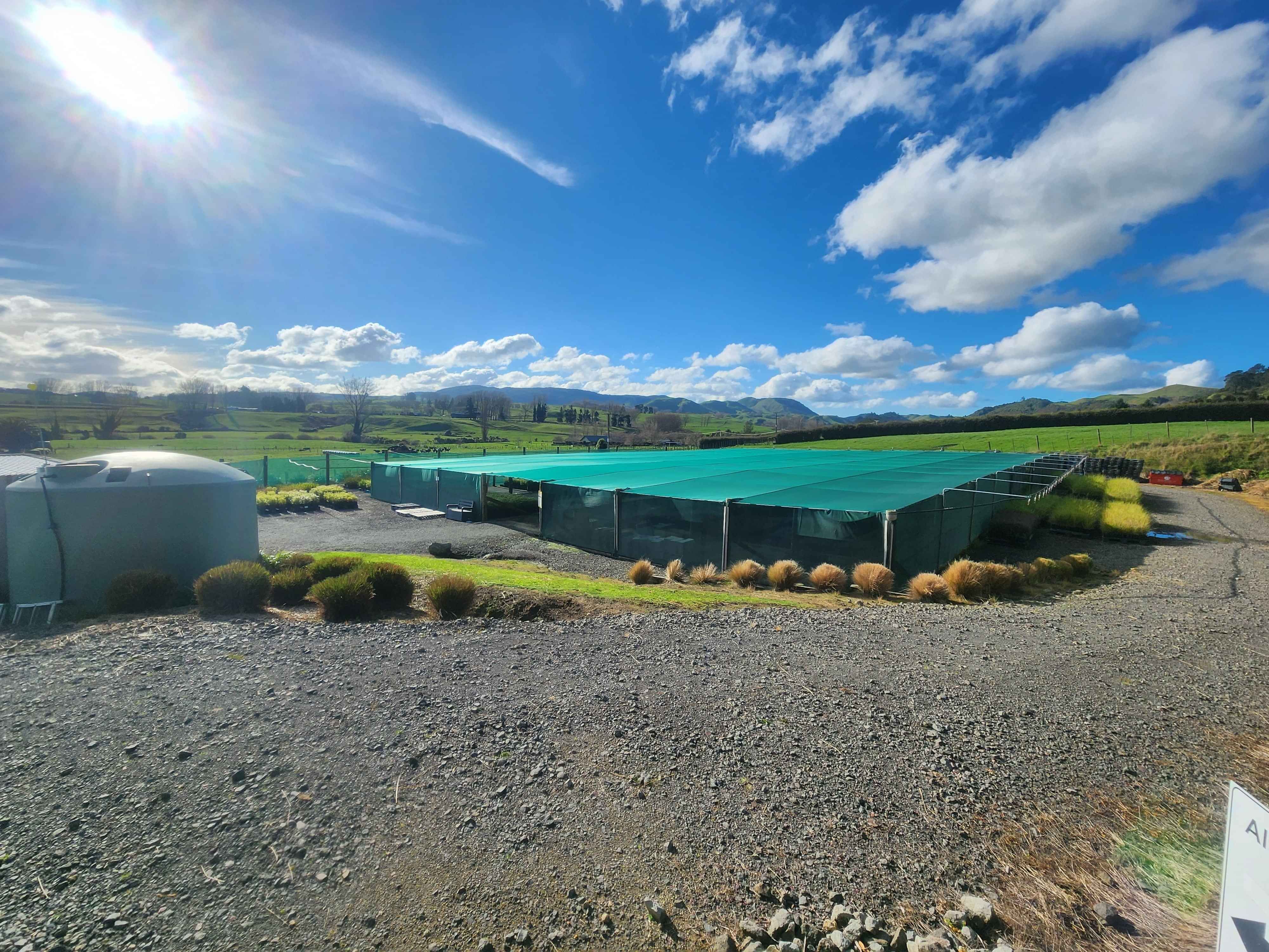 WaiNot Native Nursery