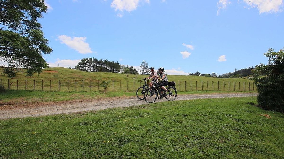 Hauraki Rail Trail Tour | 2 Day Cycling Adventure