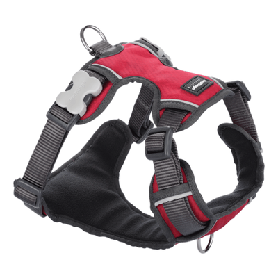 Red Dingo Padded Harness Red