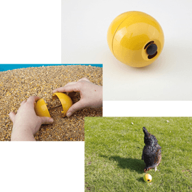 Savic Chicken Fun, Small Animal | Pet Goods NZ