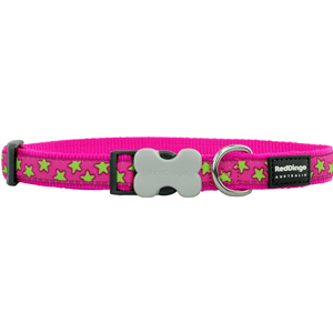 Red Dingo Dog Collar Stars Lime on Hot Pink