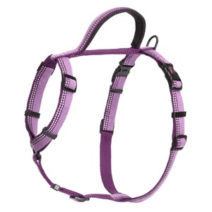 Halti Walking Harness - Purple