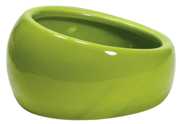 LW Ergonomic Dish Green