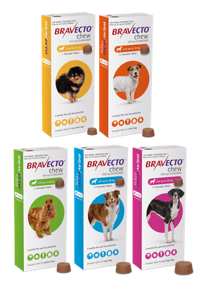 Bravecto Chew For Dogs