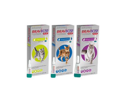 Bravecto PLUS For Cats