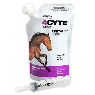 4Cyte Epiitalis Forte Equine Gel