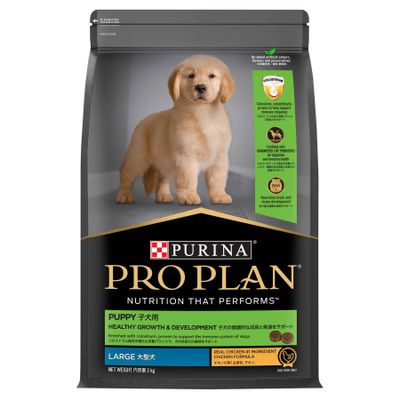 Pro Plan Puppy Large Breed Chicken Dry Dog Food